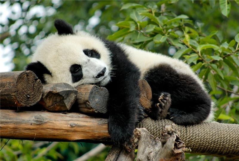 The Importance of Understanding Contract Terms